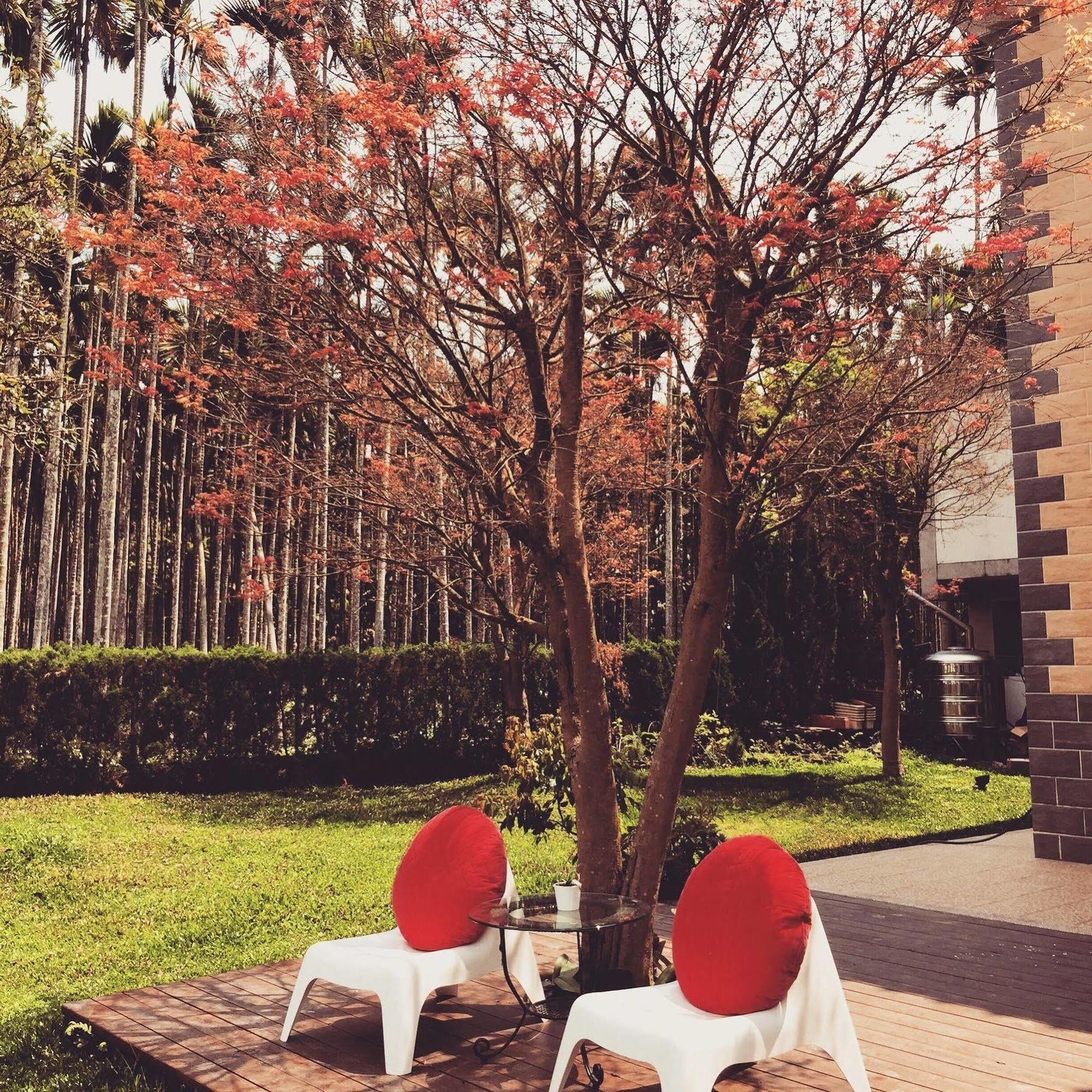魚池郷 山久蒔x勺光 Bed & Breakfast エクステリア 写真